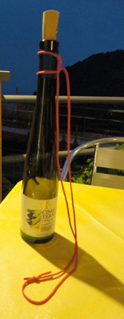 bottle-holder